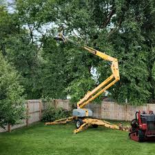 Krebs, OK Tree Services Company